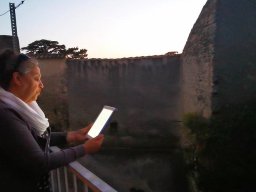 Festival 2020 - édition numérique